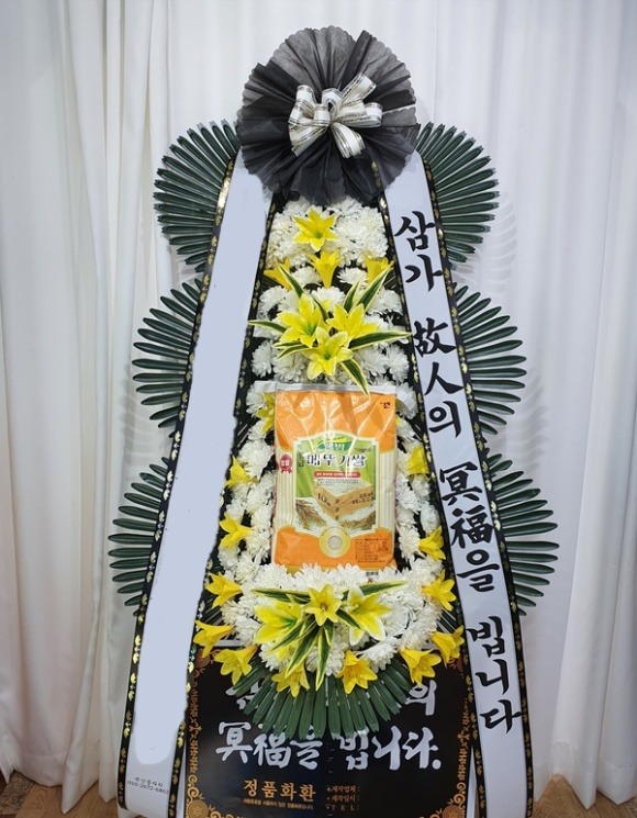 ���� �� ȭȯ