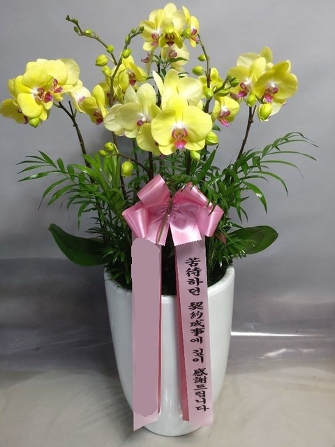 ���ȣ�� �÷����