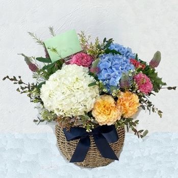 ���� �ɹٱ���