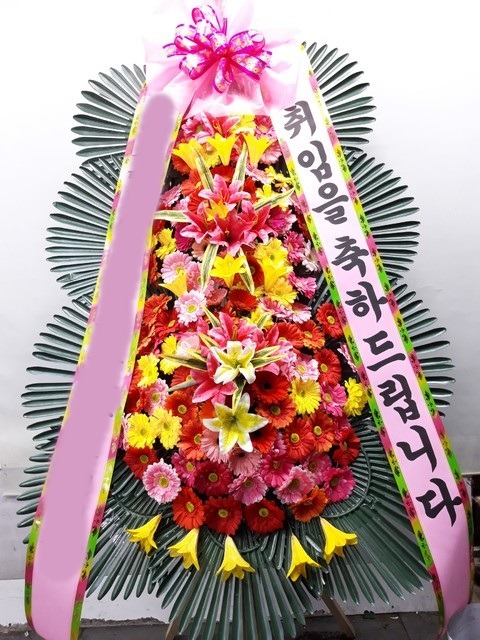 ����3��ȭȯ