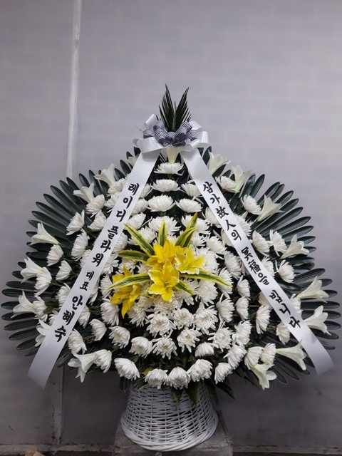 ����ٱ���