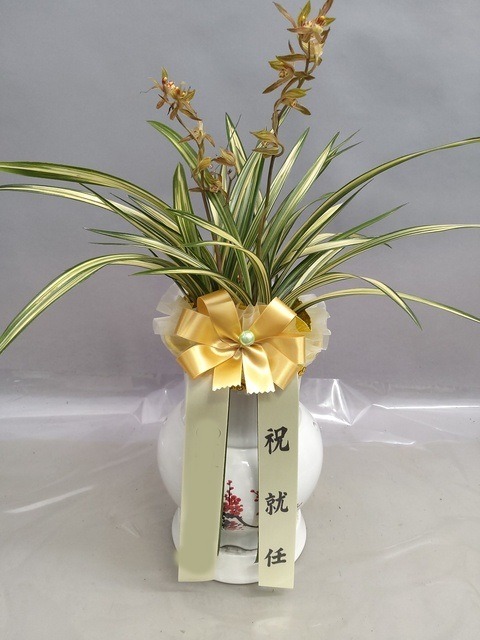 ����� ��ġ