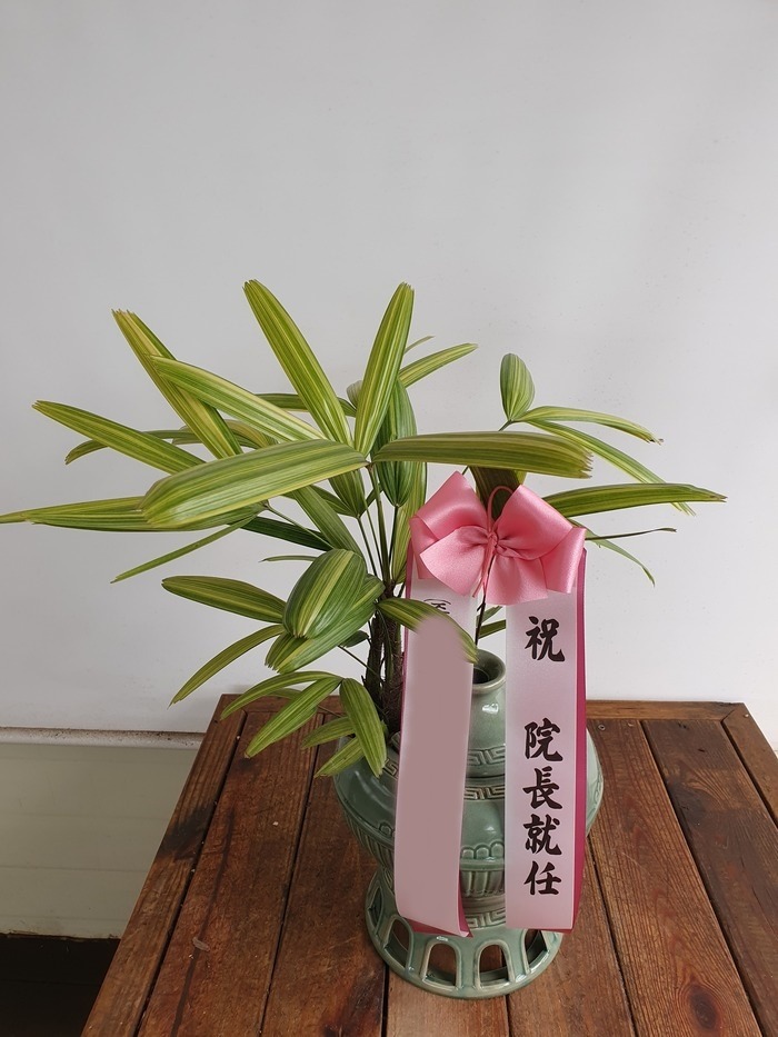 ������ [��Ȳ��]