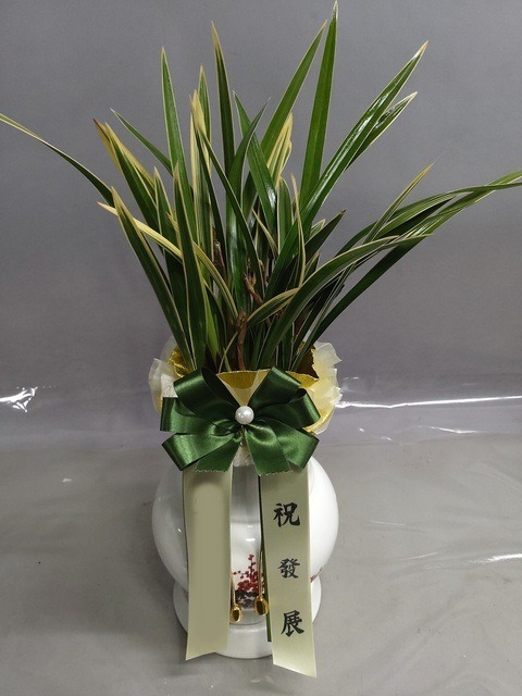 ����� ���޺�