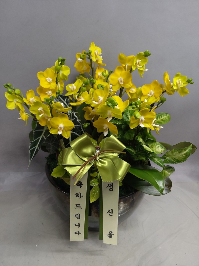 ����� �̴�