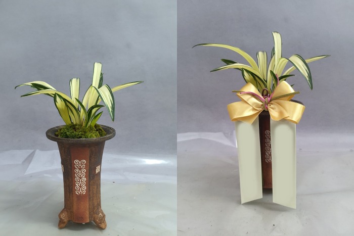 ����� �޸�����