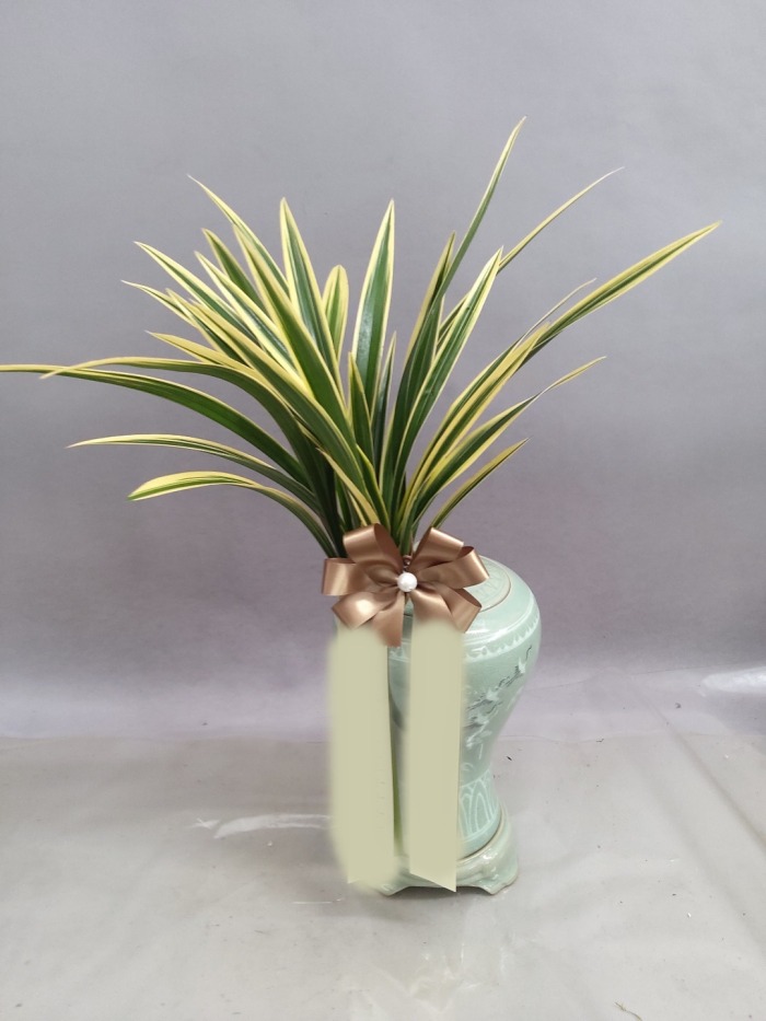 ���� �ź�