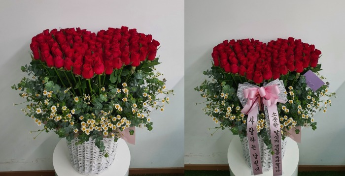 100���� ��Ʈ�ɹٱ���