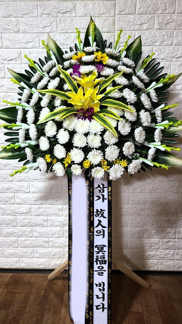 ���� ������ȭȯ