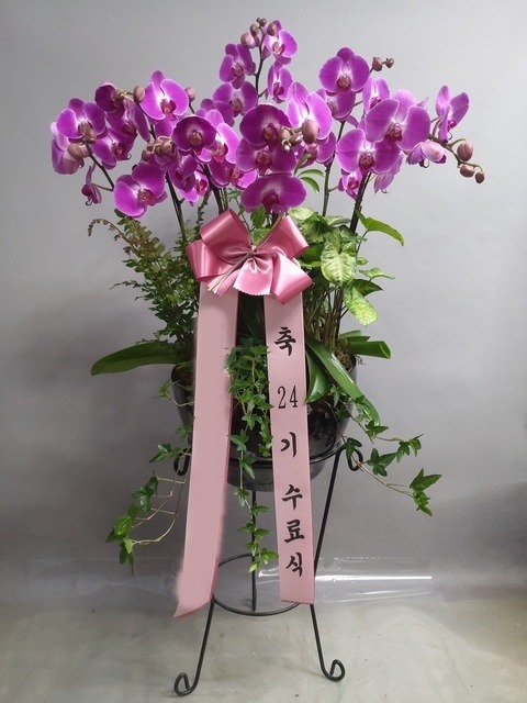 ����� ö�� ������