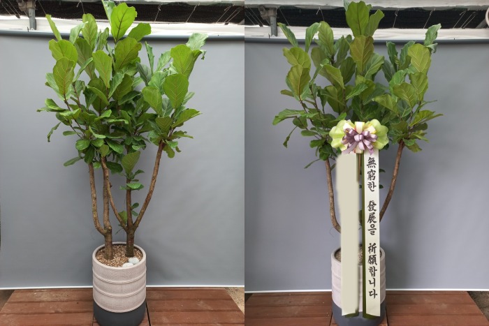 ������������ Ư��ǰ