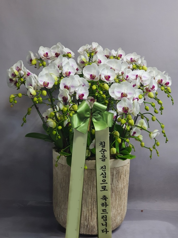 ĥ���� �����