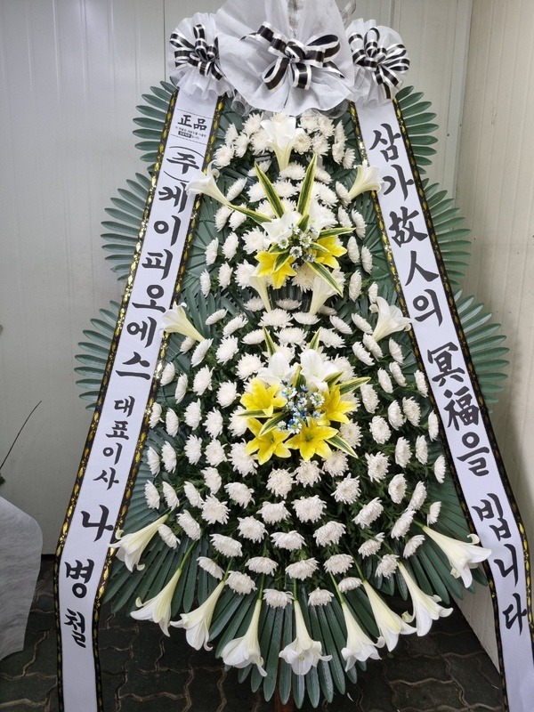 ����3��ȭȯ Ư��