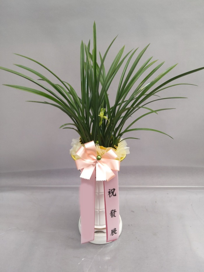 ����� ö��