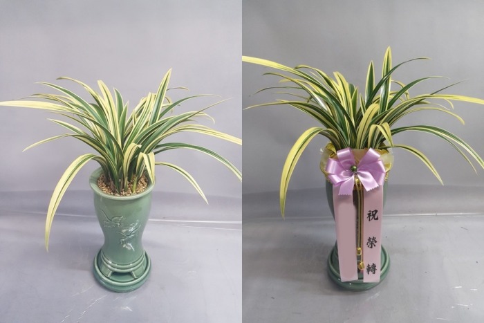 ����� Ȳ������