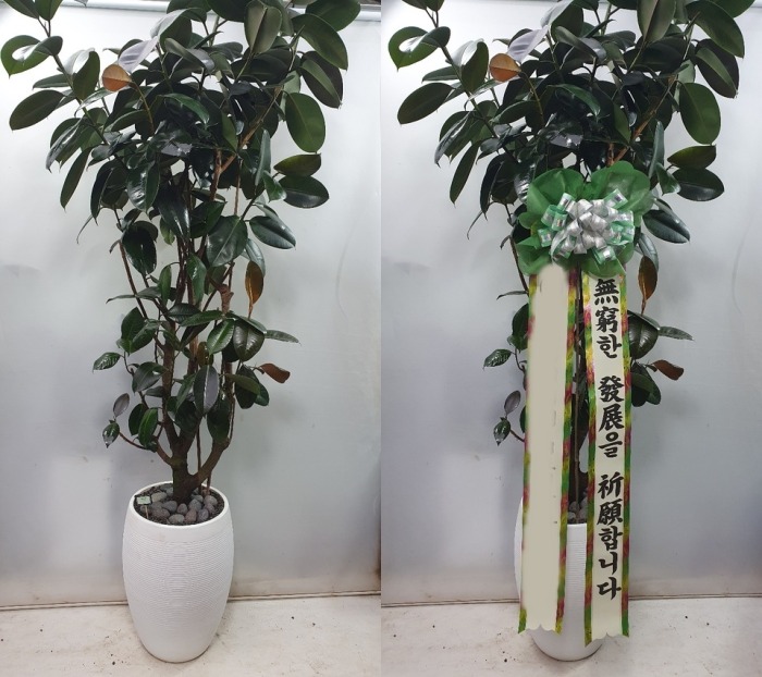 ������������ Ư��ǰ