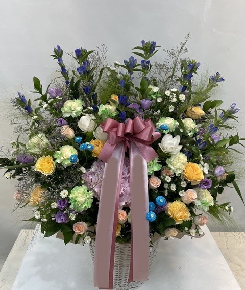 ���� �ɹٱ���