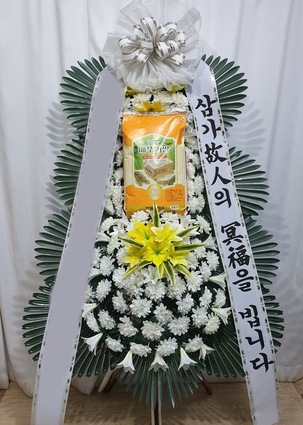 ���� ��ȭȯ