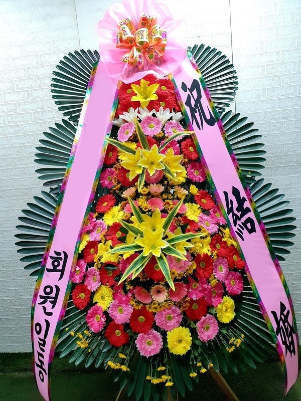 ����3��ȭȯ