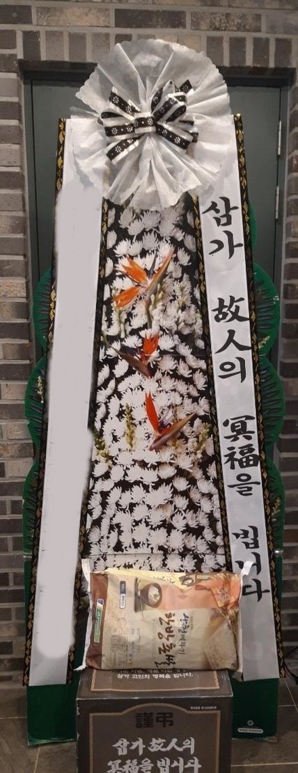 ������ȭȯ