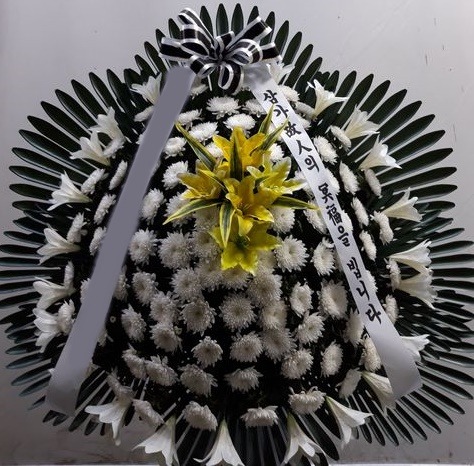 ����ٱ���