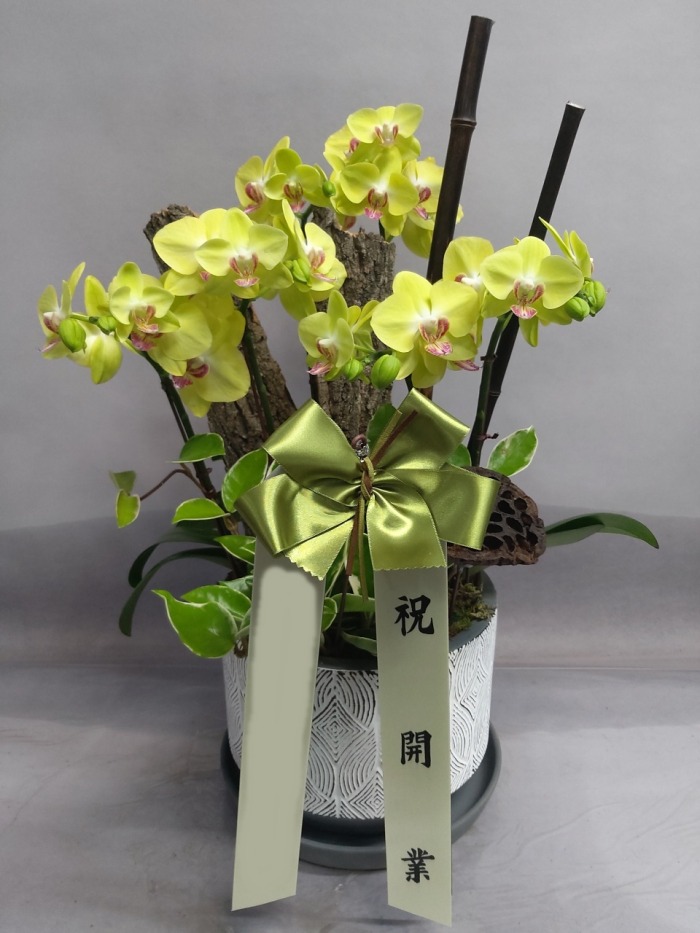 �̴� �����