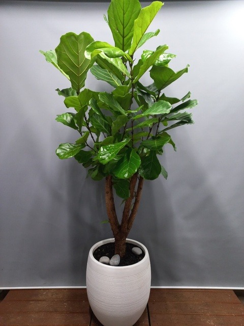 ������������