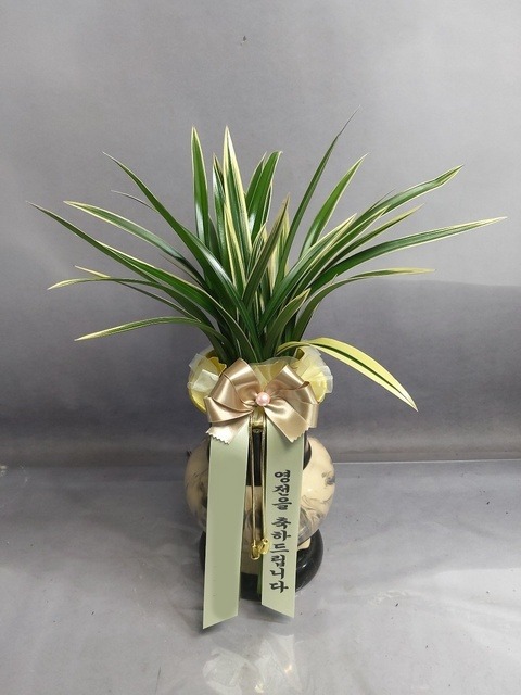 ����� �¾��