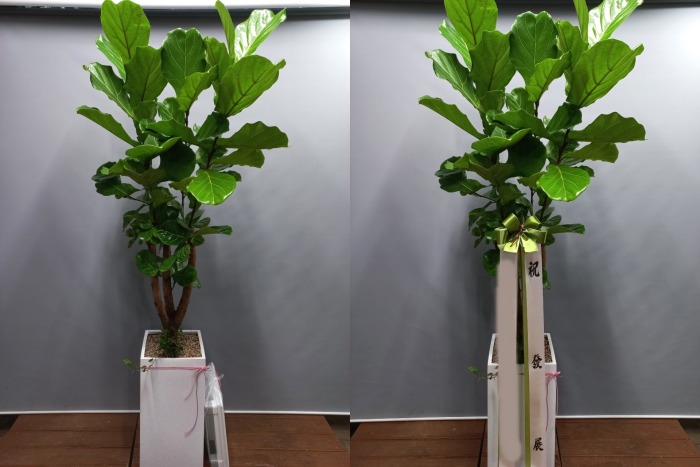 ������������