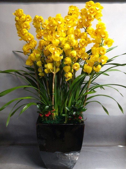 ����� �ɺ���