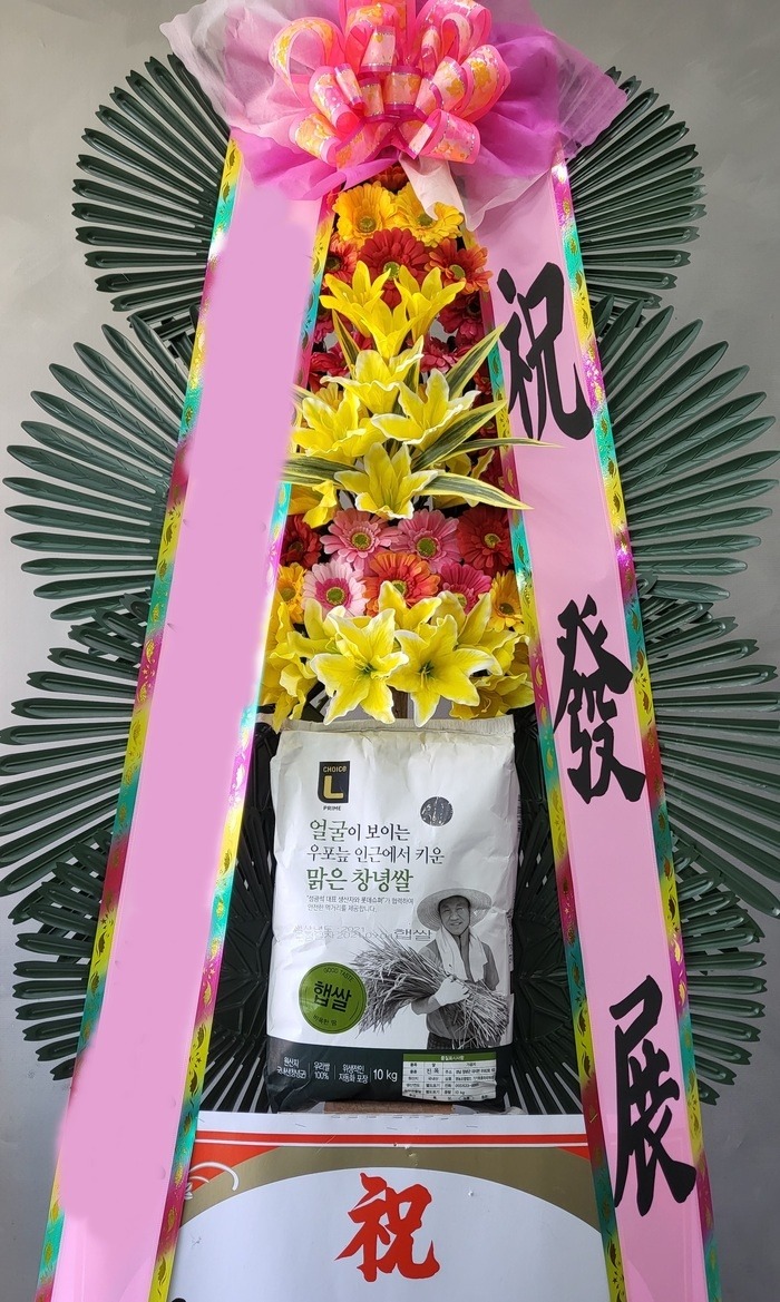 ���� ��ȭȯ 10kg