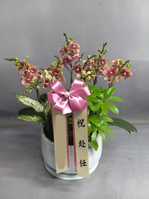 ����� - �̴�ȣ��