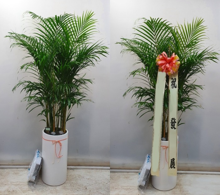 ����ȭ�� - �Ʒ�ī����