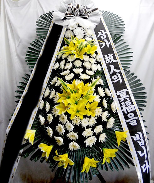 ����3��ȭȯ