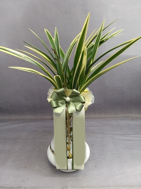 Ȳ������