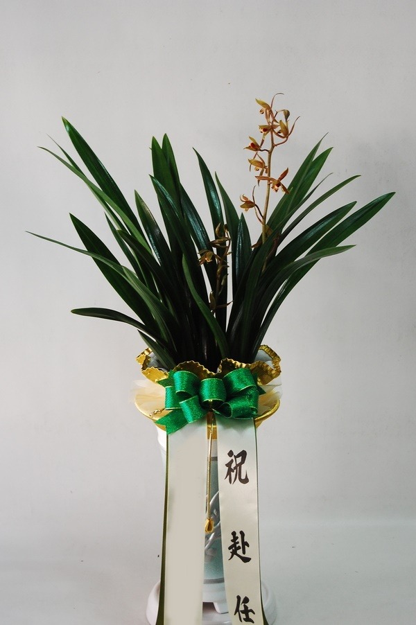 ����� ��õ����