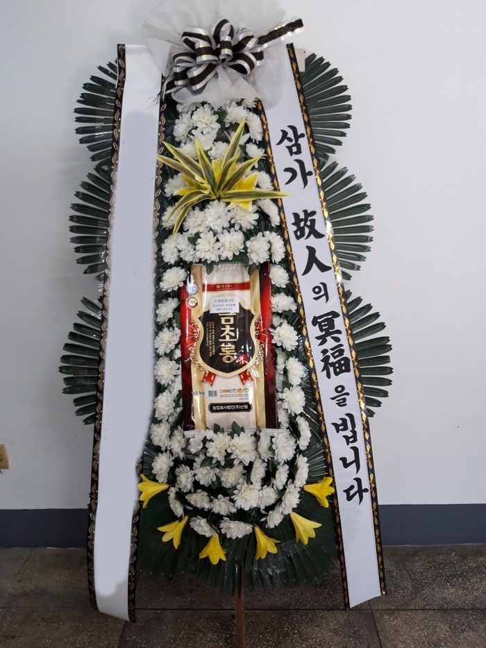 ������ȭȯ 10kg