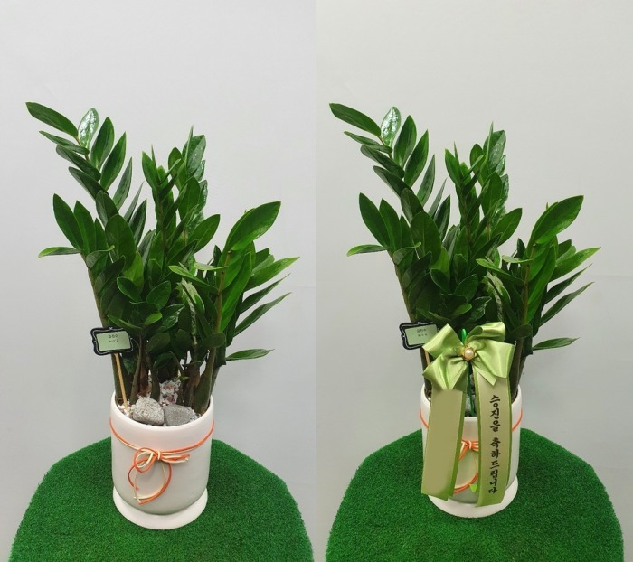 Ź��� ������