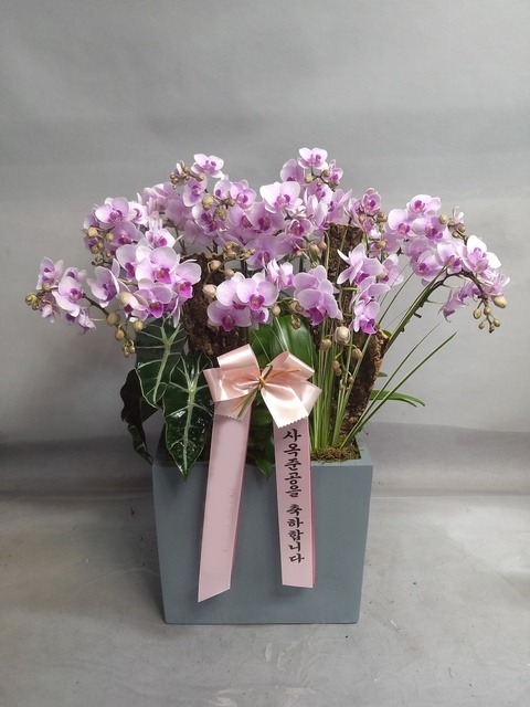 ����� - �̴�ȣ��