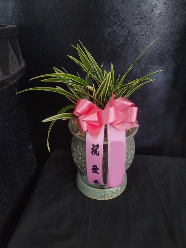 �뱹 ���ڱ�