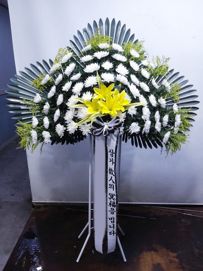 ���� ������