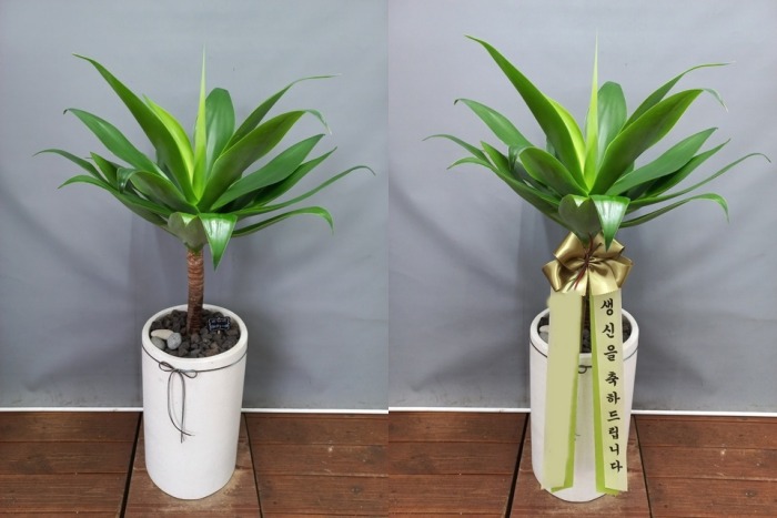 �ư������״���Ÿ