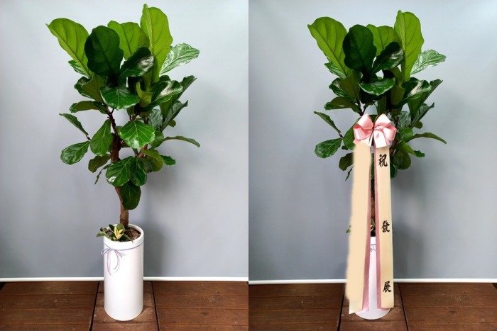 ����ȭ�� ������������