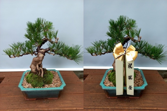 ���� �ؼۺ���