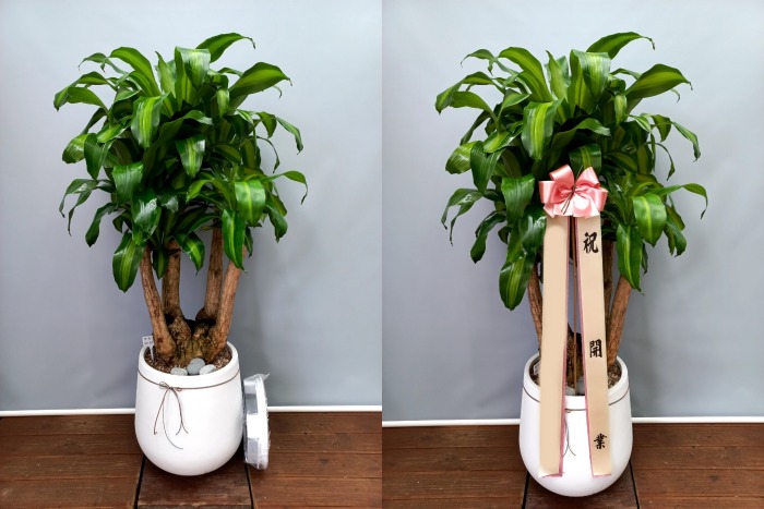 ����ȭ�� ���� ����