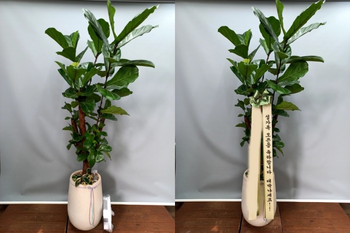 ����ȭ�� ������������