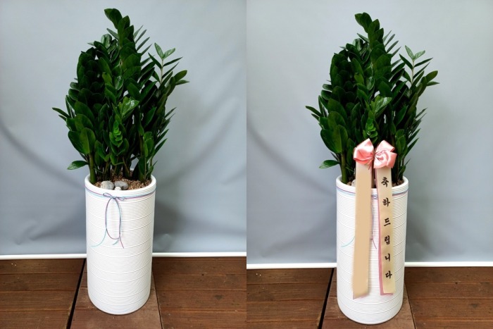 ����ȭ�� ������ 