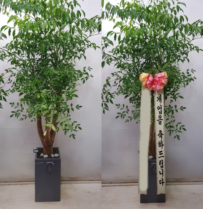 ����ȭ�� ����Ʈ��