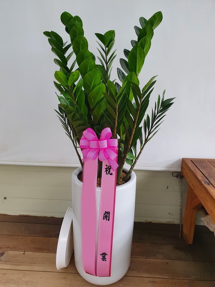 ����ȭ�� ������