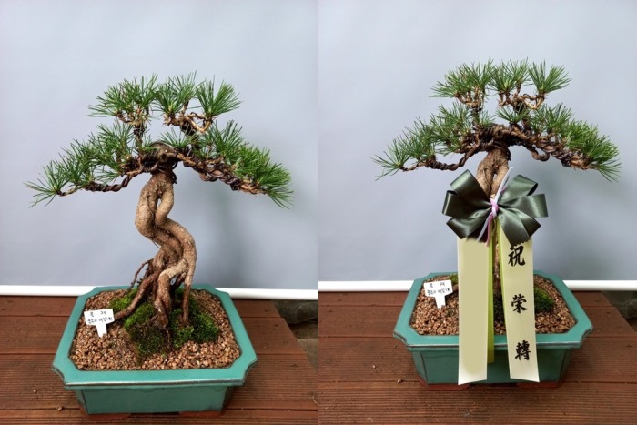 ���� �ؼۺ���